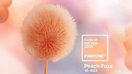 2024 Pantone Color of the year Peach Fuzz - Cape Cod Upholstery Shop | Located in South Dennis, MA